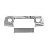 Tailgate Handle Cover