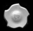 Center Cap