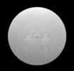 Center Cap